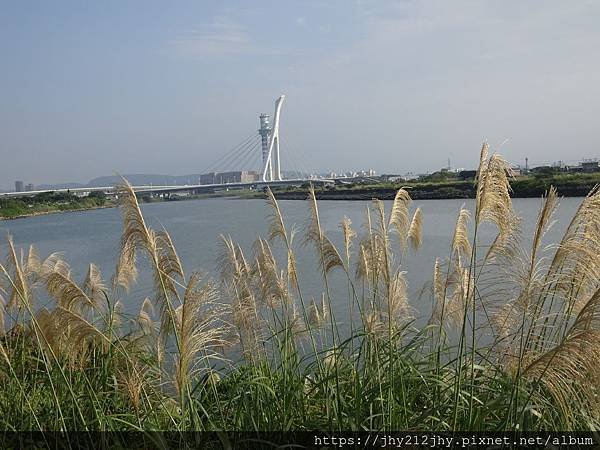 DSC02044.JPG