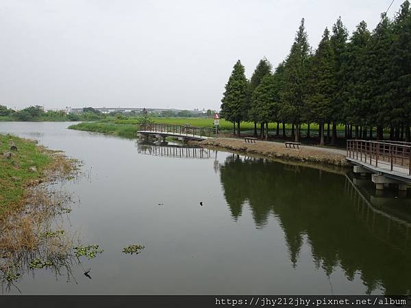 DSC00784.JPG