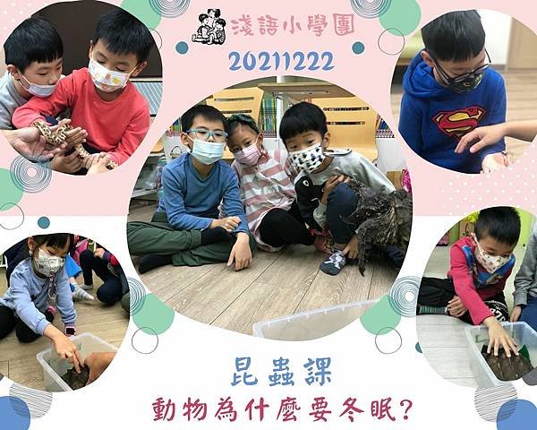 【20211222 昆蟲課 - 動物為什麼要冬眠？ （金華重慶低年級）】.jpg