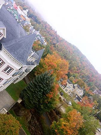 IMG_4027.JPG