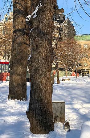 IMG_0685.JPG