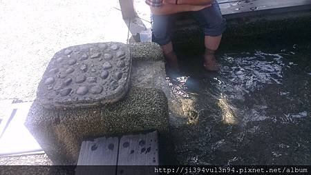 IMAG0288.jpg
