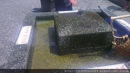 IMAG0290.jpg