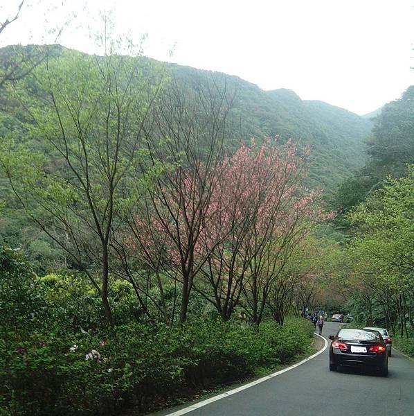 未命名3a.jpg