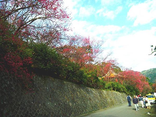 IMG_20150125_153146_meitu_50.jpg