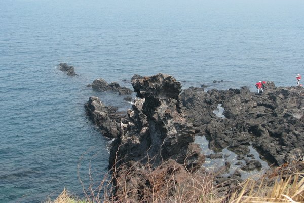 IMG_0066_大小.JPG