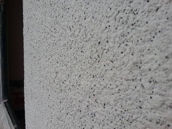 20140414_141546_1.jpg