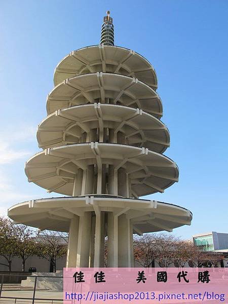 IMG_8417 (複製)