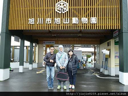 253-P1050447.JPG