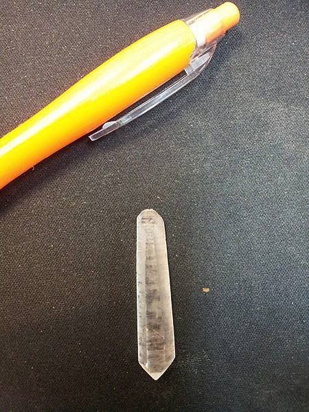 Lemurian 小baby  