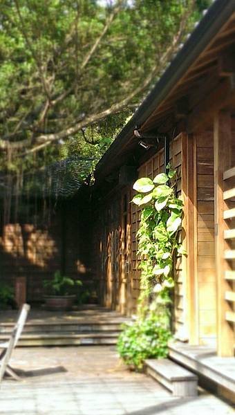 IMAG0457.jpg