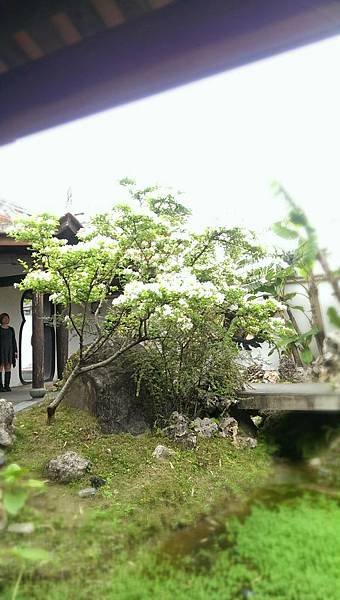 IMAG0844.jpg