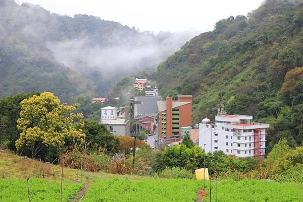 陰雨綿綿溫泉區