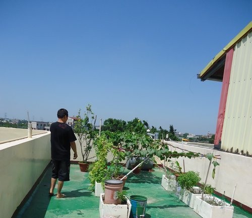 弟弟的天空菜圃