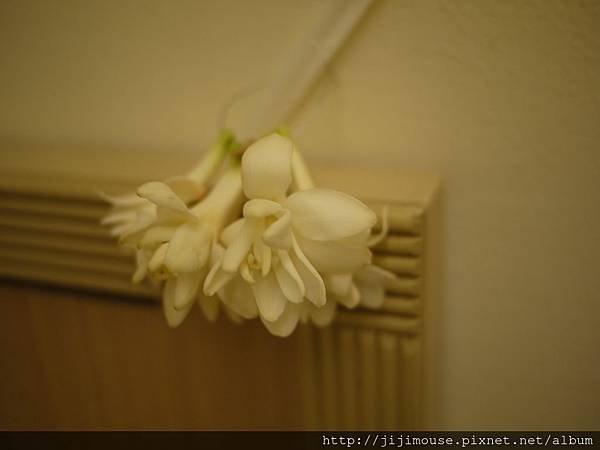 P1370190