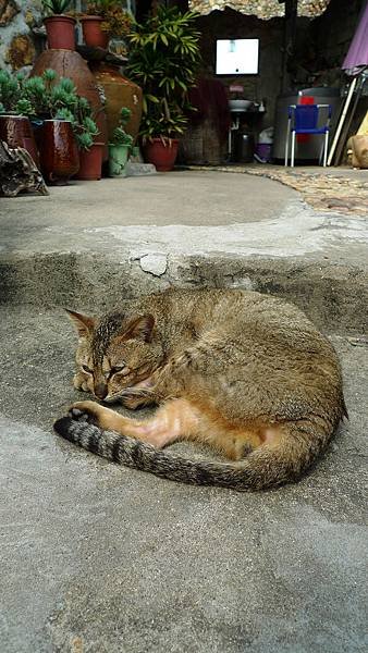 夫人咖啡館