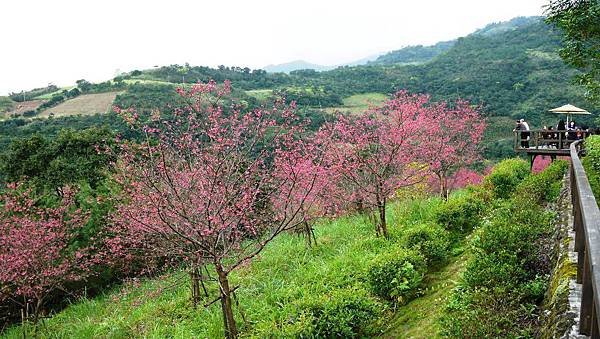 雅廬景觀渡假別墅