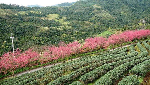 雅廬景觀渡假別墅