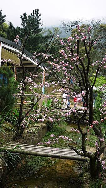 新山夢湖