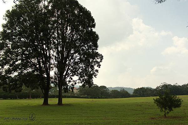 IMG_9107.JPG