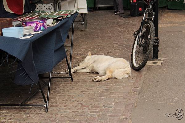 IMG_9471.jpg