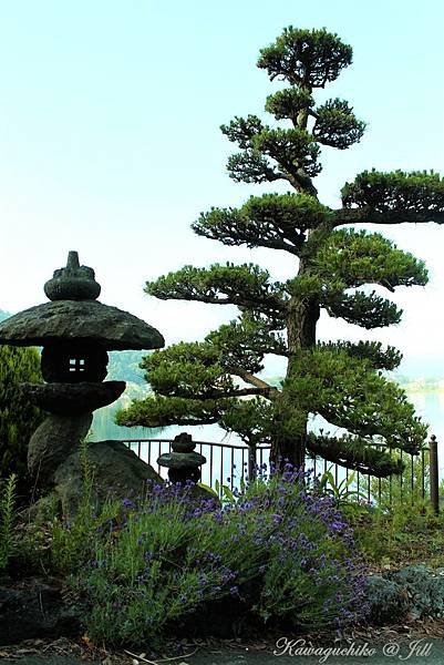 PhotoCap_IMG_3508.jpg