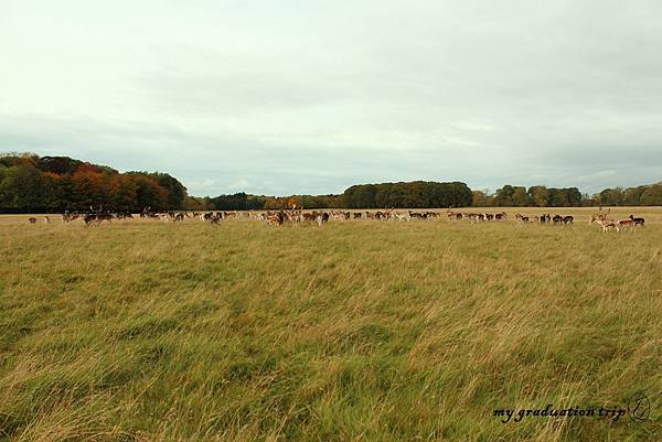 IMG_2271.JPG