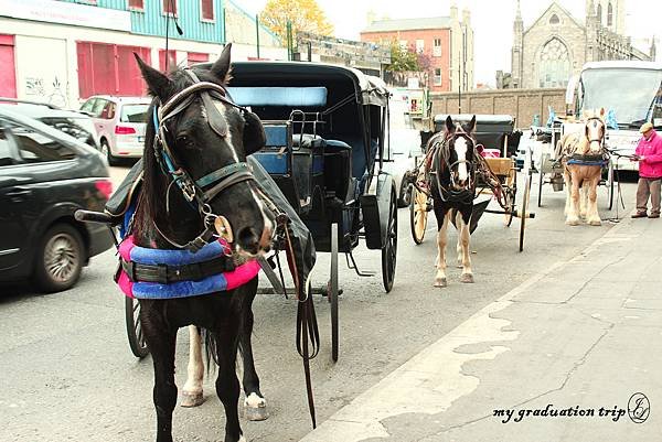 IMG_2288.JPG