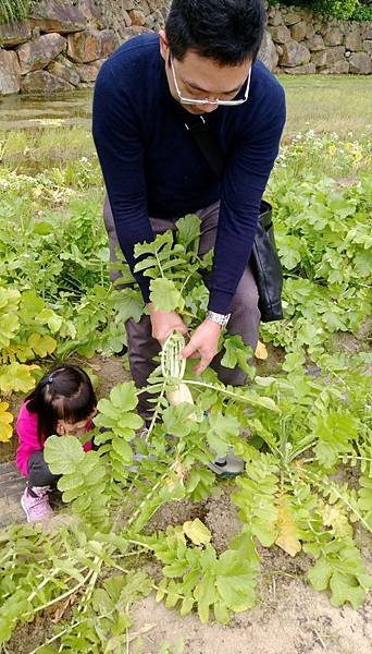 ※台北市內湖區※ 【農場/牧場】清香休閒農場 採草莓 蕃茄 