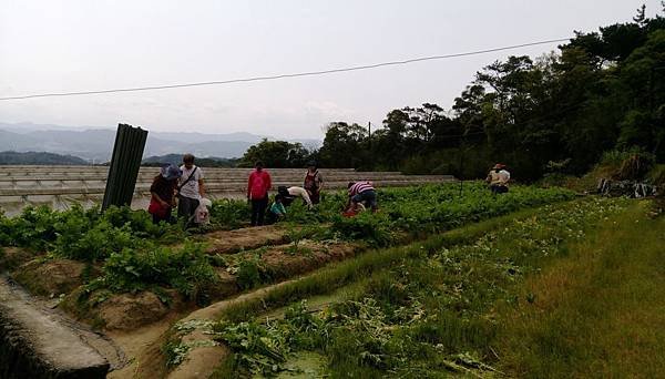 ※台北市內湖區※ 【農場/牧場】清香休閒農場 採草莓 蕃茄 