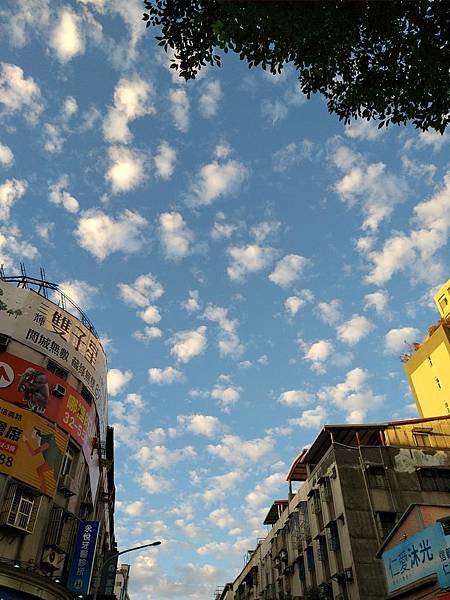 ※台北市中正區※ 【玩水/游泳】自來水博物館 水鄉庭園 臺北