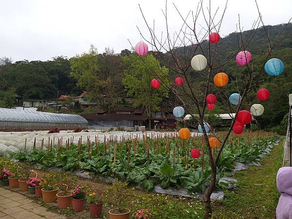 ※台北市內湖區※ 【農場/牧場】清香休閒農場 採草莓 蕃茄 