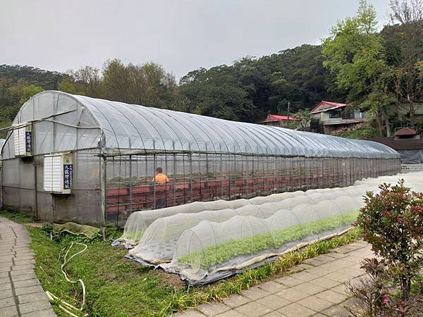 ※台北市內湖區※ 【農場/牧場】清香休閒農場 採草莓 蕃茄 