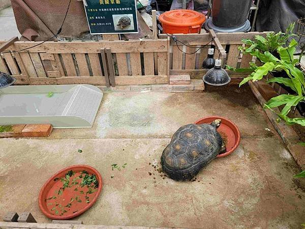 ※新北市※ 【農場/牧場】五股準園 大草皮 瀑布 氣墊溜滑梯