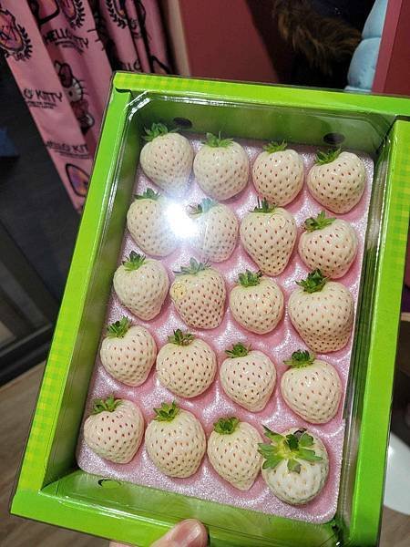 ※宜蘭五結鄉※ 五結童心 hello kitty 主題房 溜