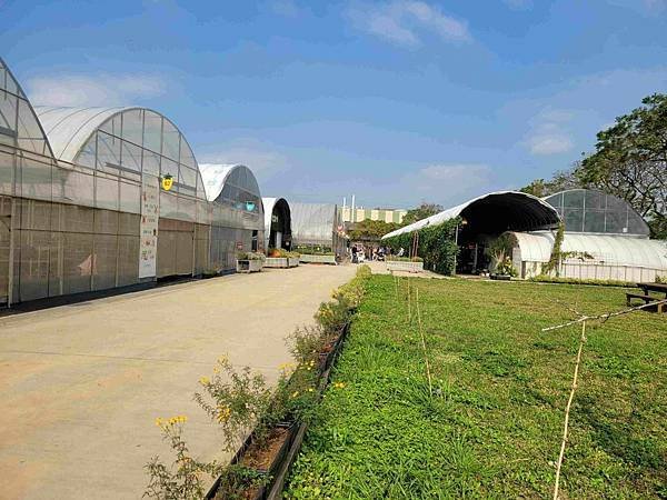※桃園青埔※【農場/牧場】2021開幕 草莓學校 親子DIY