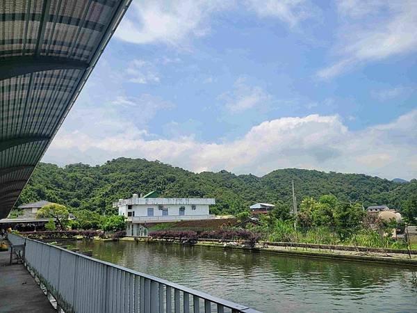 ※宜蘭縣礁溪鄉※ 甲鳥園/ 謝記休閒農場-鴨寮故事館 餵鴨.
