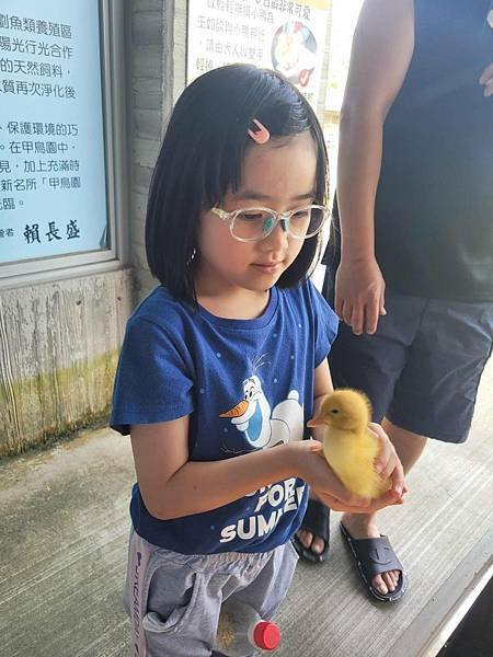 ※宜蘭縣礁溪鄉※ 甲鳥園/ 謝記休閒農場-鴨寮故事館 餵鴨.