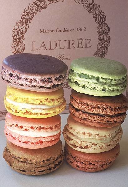 macarons[1].jpg