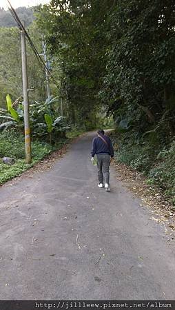 IMAG2317.jpg