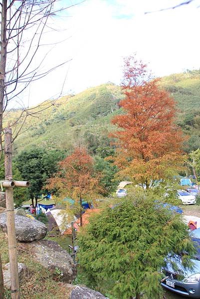 IMG_4866.JPG