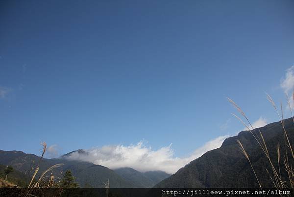 IMG_4929.JPG
