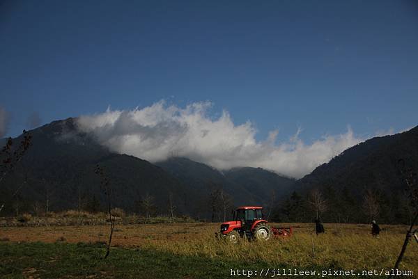 IMG_4941.JPG