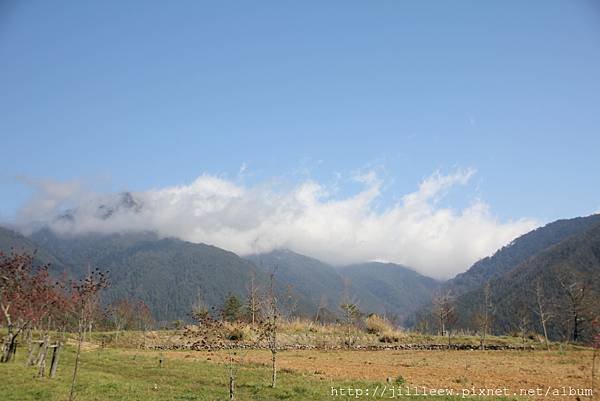IMG_4944.JPG