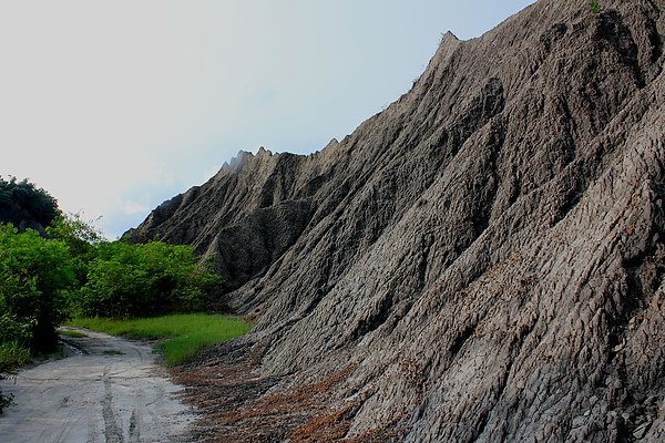 IMG_4373.JPG