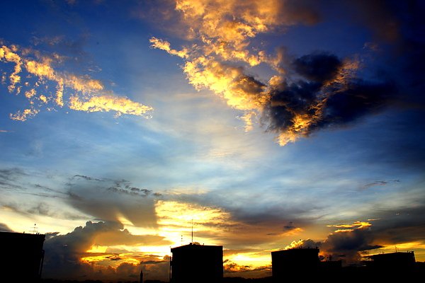 IMG_4384.JPG