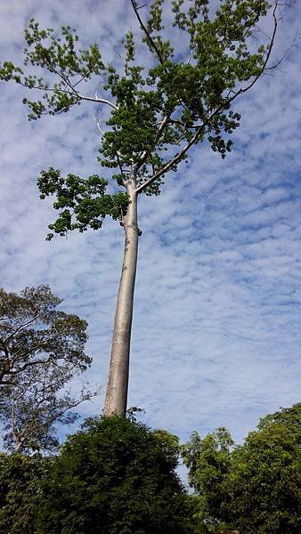 IMG_20140711_081717