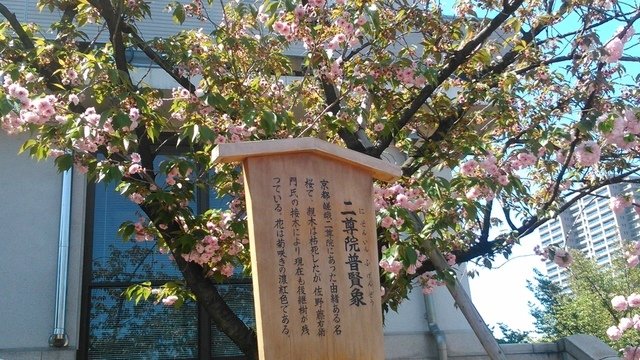 2014京阪神奈賞櫻六日行-Day 6 大阪造幣局（下）賦歸