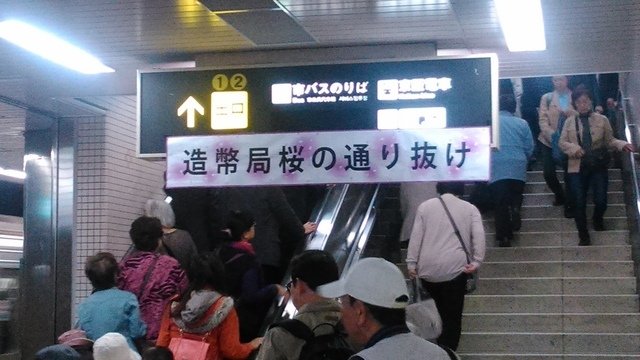 2014京阪神奈賞櫻六日行-Day 6 大阪造幣局（上）