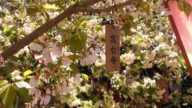 2014京阪神奈賞櫻六日行-Day 6 大阪造幣局（上）